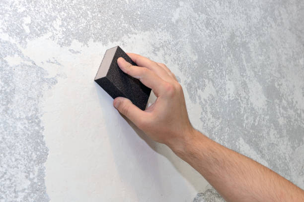 Best Airborne Mold Testing  in Marine City, MI