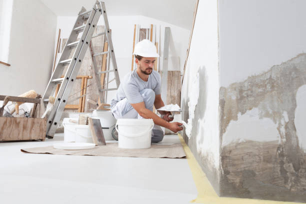 Best Mold Remediation for Vacation Homes  in Marine City, MI