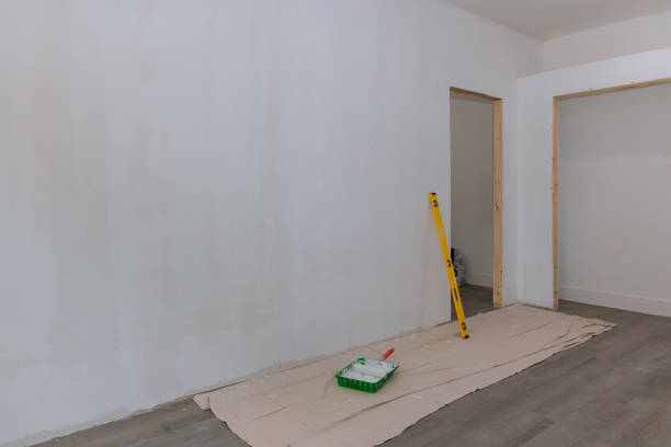 Professional Mold Removal in Marine City, MI