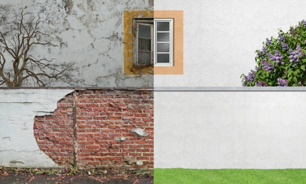 Best Industrial Mold Remediation  in Marine City, MI