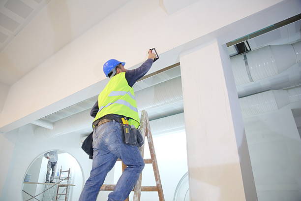 Best Real Estate Mold Inspection  in Marine City, MI