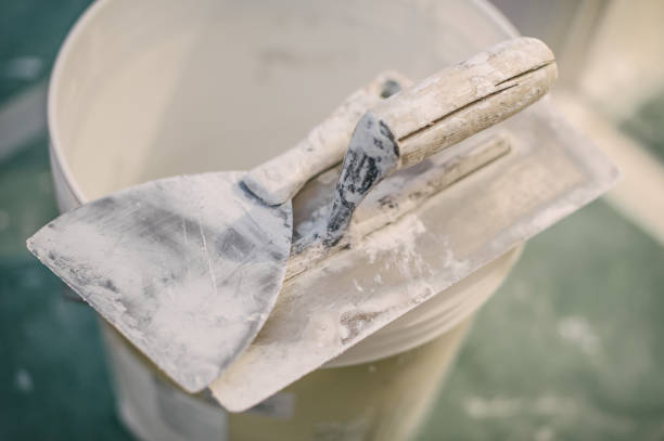 Best Asbestos and Lead Testing During Mold Inspection  in Marine City, MI